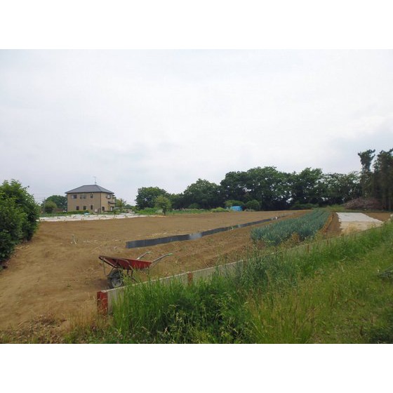 守谷市高野