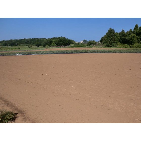稲敷郡阿見町荒川本郷