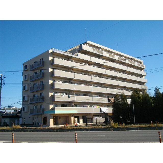 443300341