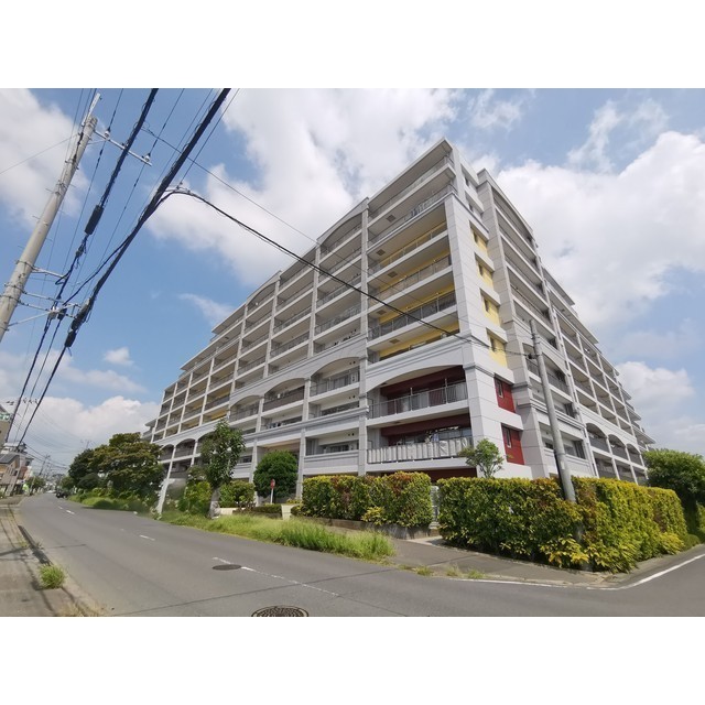 つくば市花畑