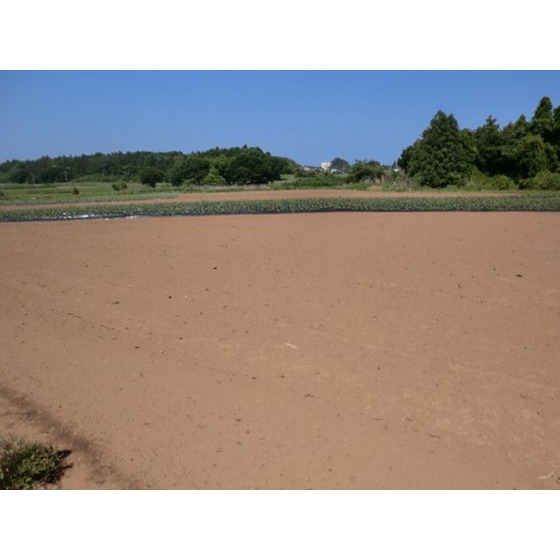 稲敷郡阿見町荒川本郷