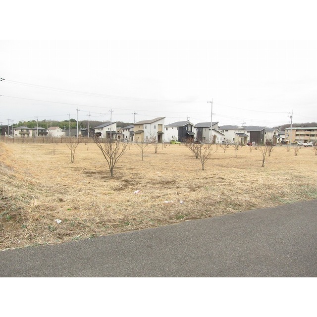 つくば市万博公園西