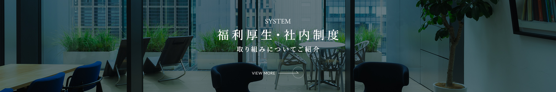 SYSTEM 福利厚生・社内制度 取り組みについてご紹介